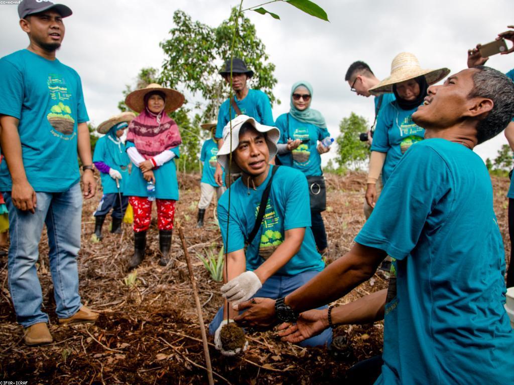 ការពិចារណាព័ត៌មានការប្រាក់លើការវិនិយោគ