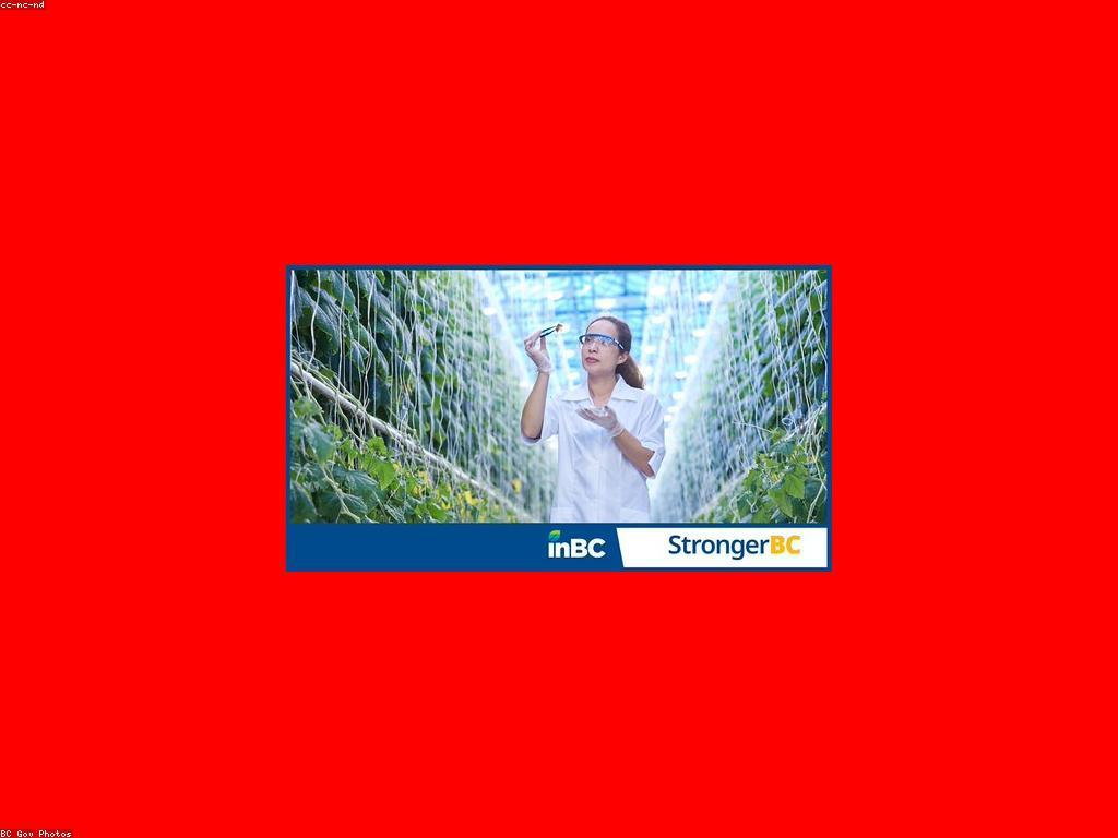 ព័ត៌មានថ្មីៗនៃការប្រាក់